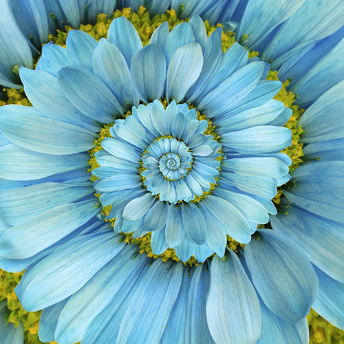 Nature_56_color_LO